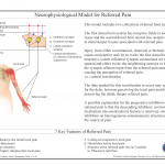 Referred Pain